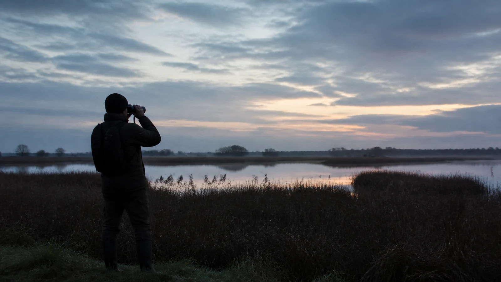 Birdwatcher using binoculars at dawn in an overcast UK wetland