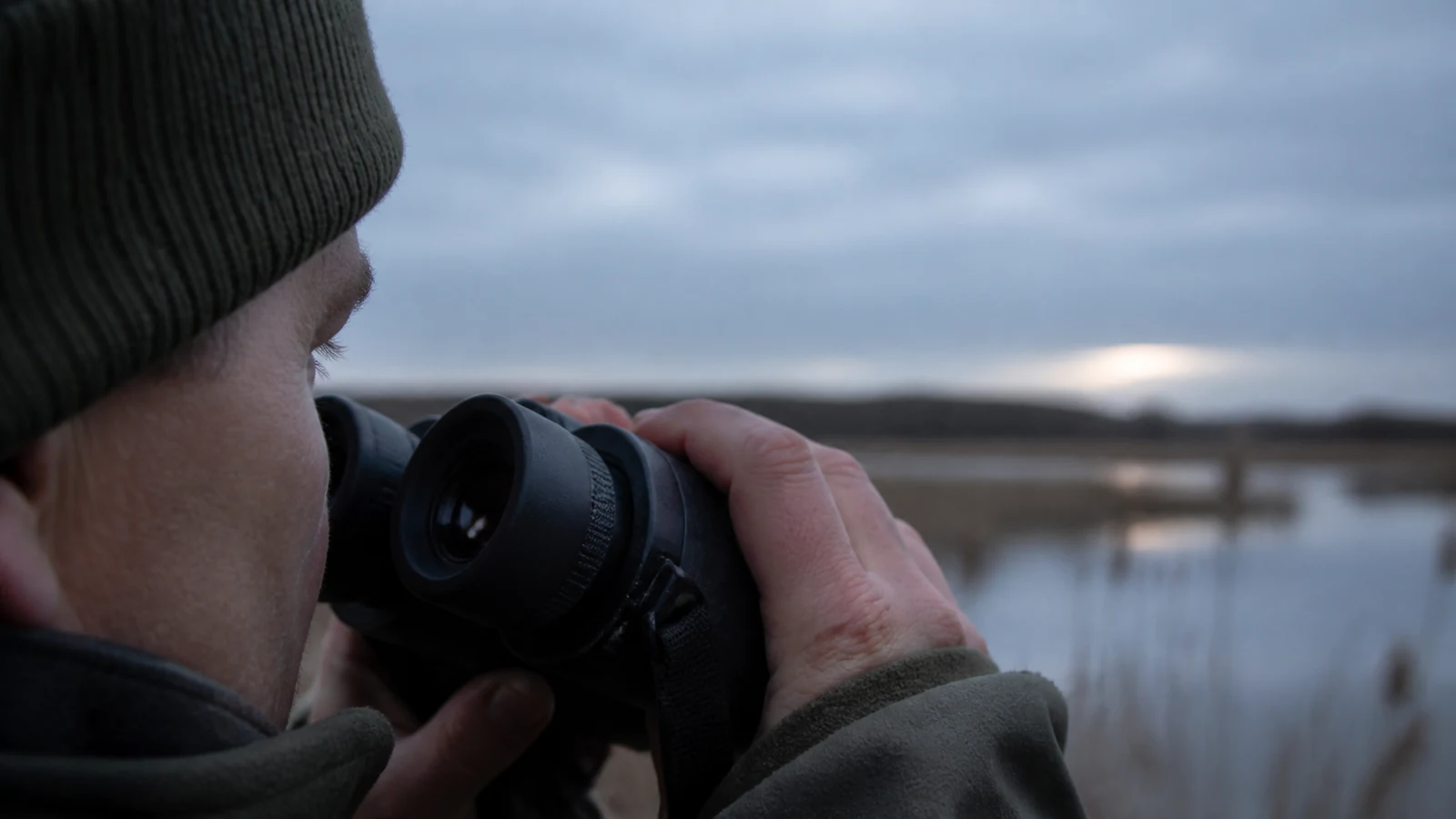 Close view of binocular eyepieces positioned for comfortable long birdwatching